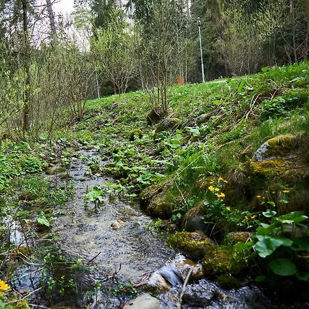 아파트 Lovely 1-bedroom Vacation With Free Parking 데마노브스카돌리나