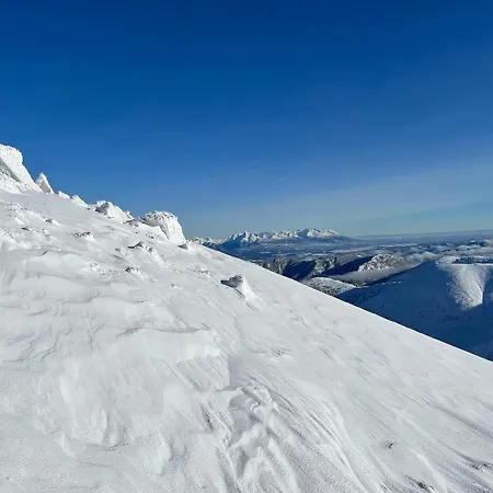 Lovely 1-bedroom Vacation With Free Parking Lägenhet