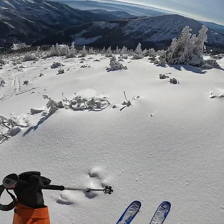 Apartament Lovely 1-bedroom Vacation With Free Parking