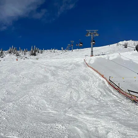 Lovely 1-bedroom Vacation With Free Parking * Demanovska Dolina