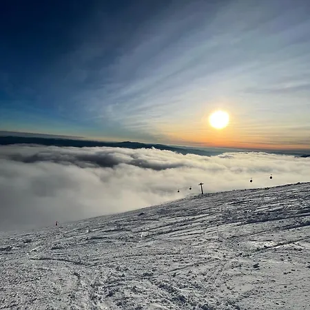 Lovely 1-bedroom Vacation With Free Parking Demanovska Dolina