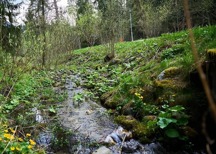 Apartment Lovely 1-bedroom Vacation With Free Parking Demänovská Dolina