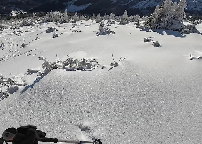 Apartment Lovely 1-bedroom Vacation With Free Parking