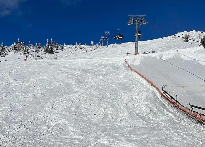 Lovely 1-bedroom Vacation With Free Parking * Demänovská Dolina